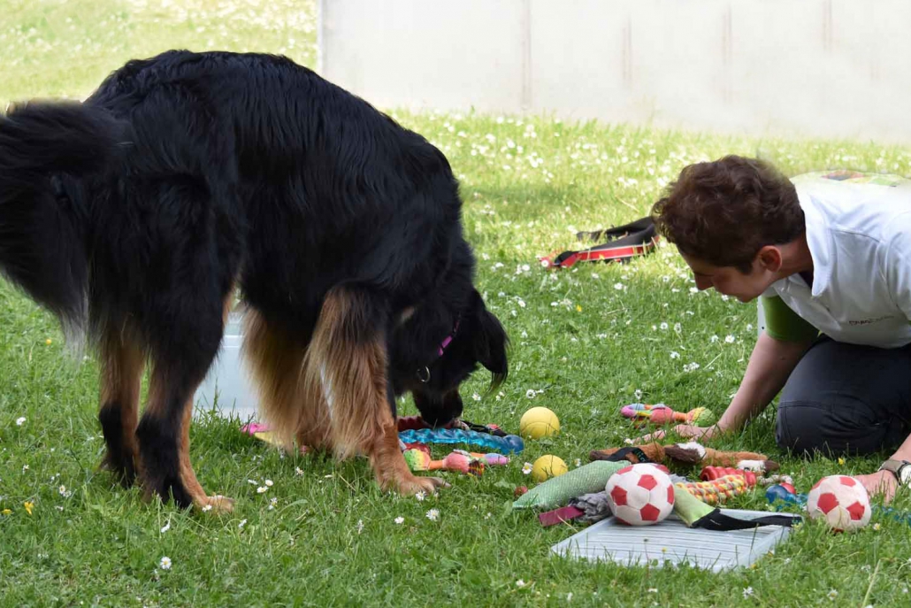 Spielen will gelernt sein